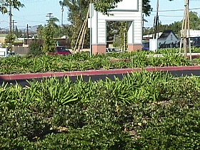 252-43rd_st_mall2.jpg (34686 bytes)