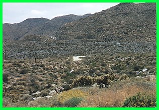 80-mtn_sprng_old_rd.jpg (31523 bytes)